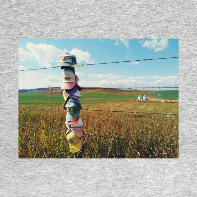 Agriculture farmland in Canadian prairie, Alberta, Canada. by Nalidsa